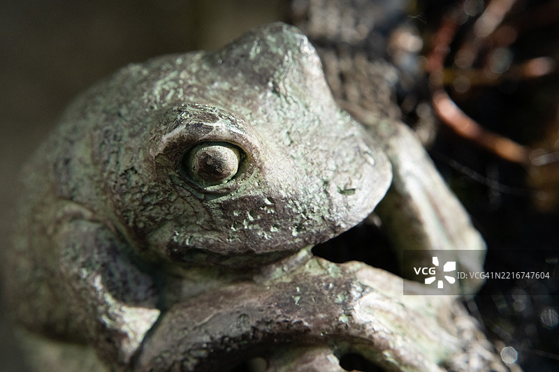 户外一只风化的黄铜青蛙雕塑特写图片素材