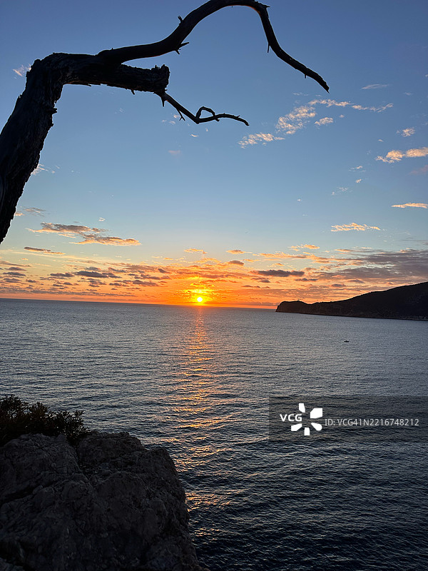 西班牙安德拉特克海洋上空的戏剧性日落与树枝剪影图片素材