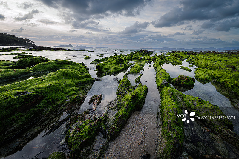 日落时分的苔藓覆盖岩石的海岸风光图片素材