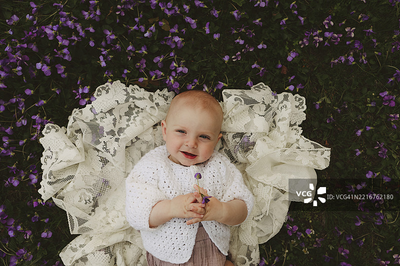 在紫罗兰花丛中的小女孩图片素材
