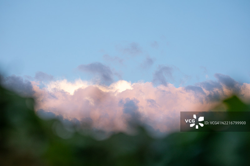 装裱的自然艺术图片图片素材