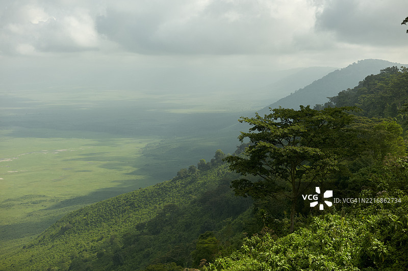 郁郁葱葱的山谷，起伏的丘陵在多云的天空下。坦桑尼亚塞伦盖蒂。图片素材