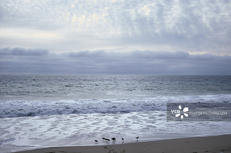 宁静的海洋景观，温柔的波浪和海鸥在多云的天空下的沙滩上漫步。洛杉矶，美国图片素材