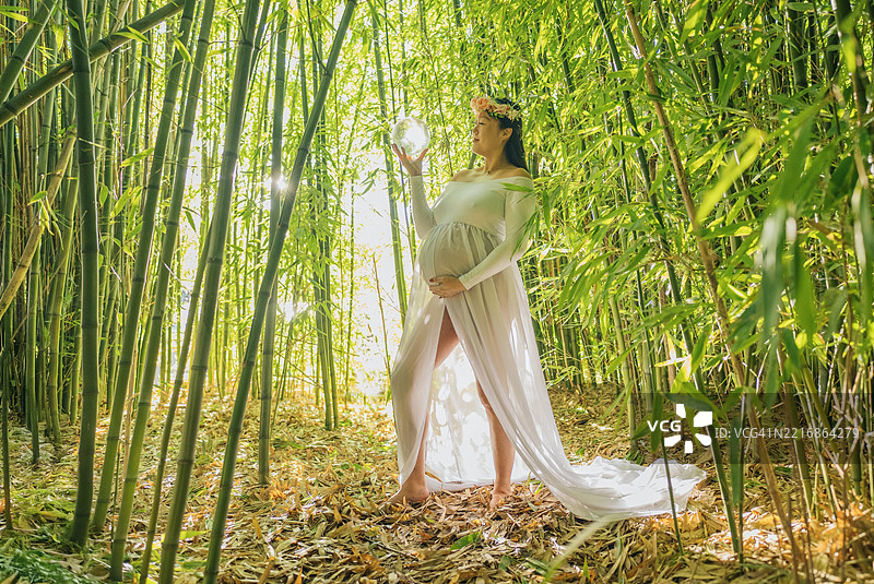 穿着长裙的孕妇站在郁郁葱葱的竹林中，手中握着一个发光的球体。华盛顿州，美国图片素材