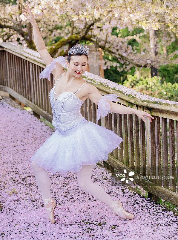 穿着白色芭蕾舞裙的芭蕾舞者在覆盖着樱花花瓣的小路上优雅地摆姿势。华盛顿州，美国图片素材