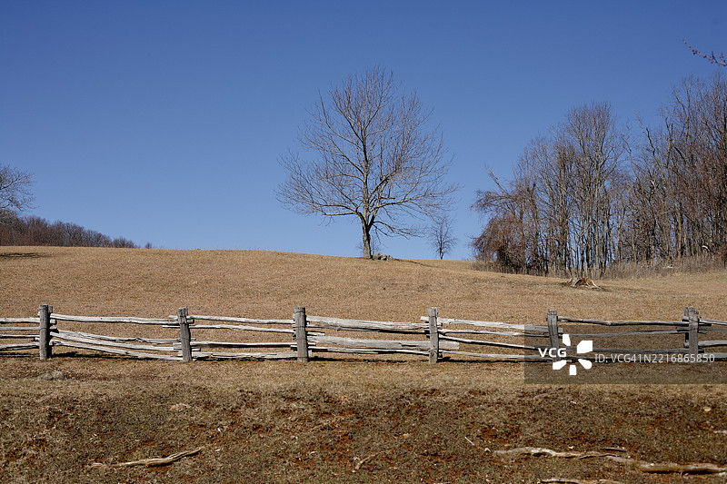 孤独的树木与乡村围栏在草地上，蓝天清澈。美国公路旅行图片素材