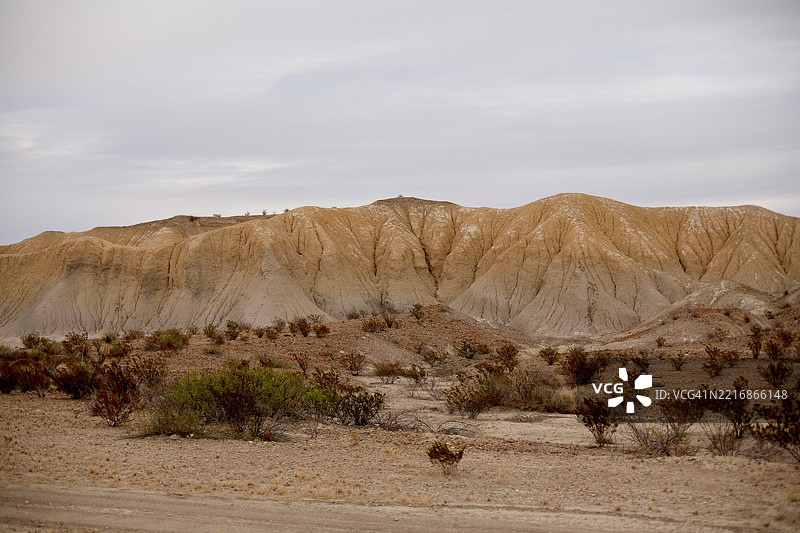 沙漠景观，沙丘和稀疏植被在多云的天空下。美国公路旅行图片素材