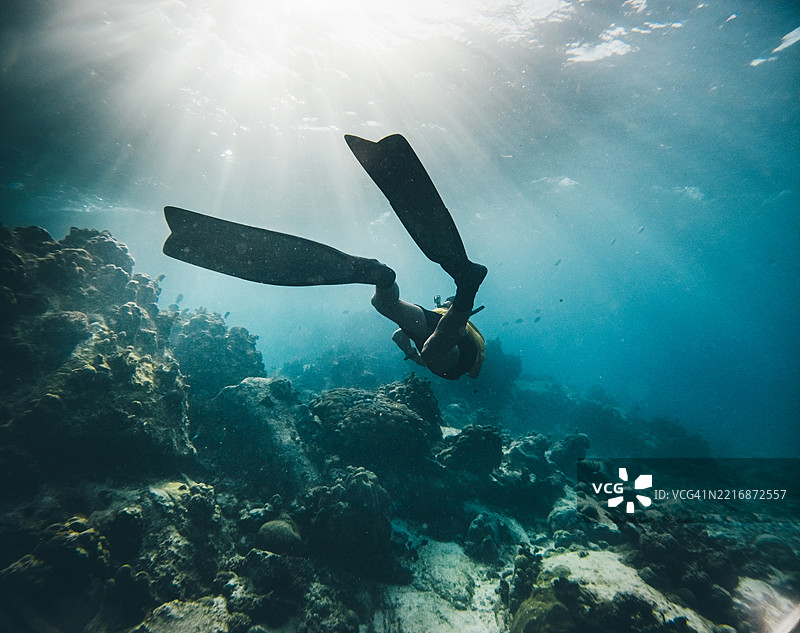 一名男子在海洋中潜水。一名男子在塞舌尔浮潜。图片素材