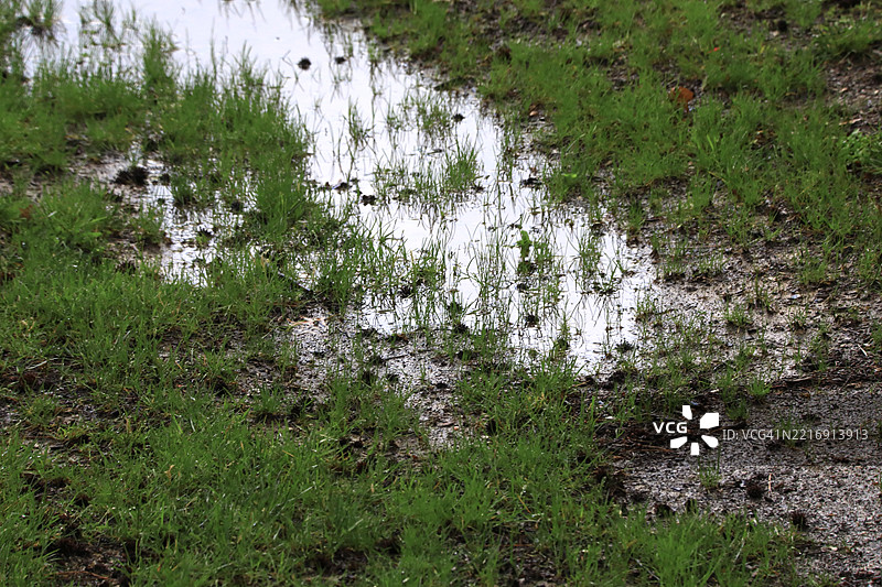 因大雨而淹水的草坪图片素材