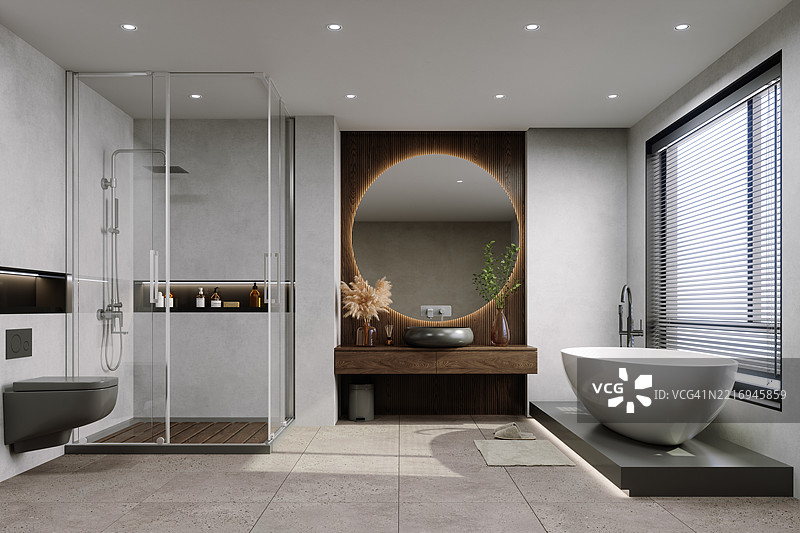 现代浴室内部，配有浴缸、淋浴、马桶和镜子图片素材