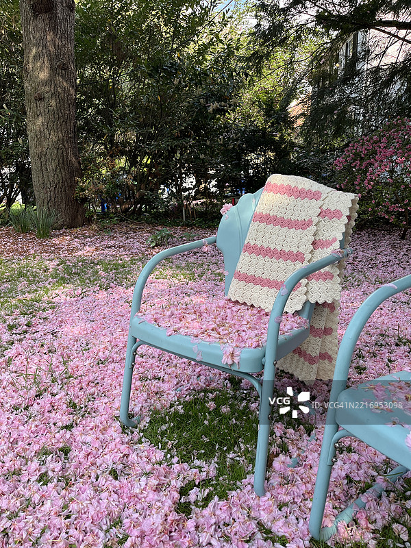 春天的花园里，蓝色复古金属椅子位于粉色樱花树下。粉色花瓣洒落在草地和椅子上。条纹钩针毛毯搭在椅子上。图片素材