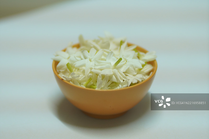 白色茉莉花图片素材