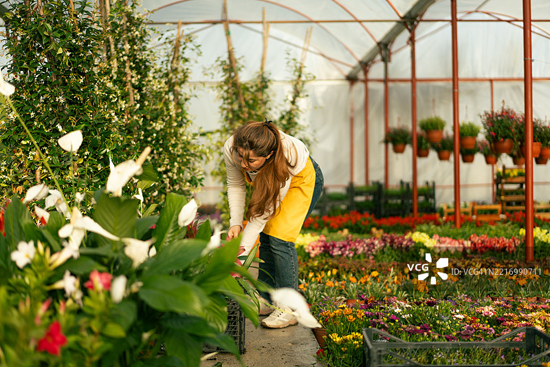 女性园丁在温室中照顾植物图片素材