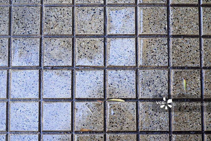 雨水映照在城市人行道的几何方形瓷砖上,散落的落叶打破了单调的混凝土表面,增添了自然的有机元素。图片素材