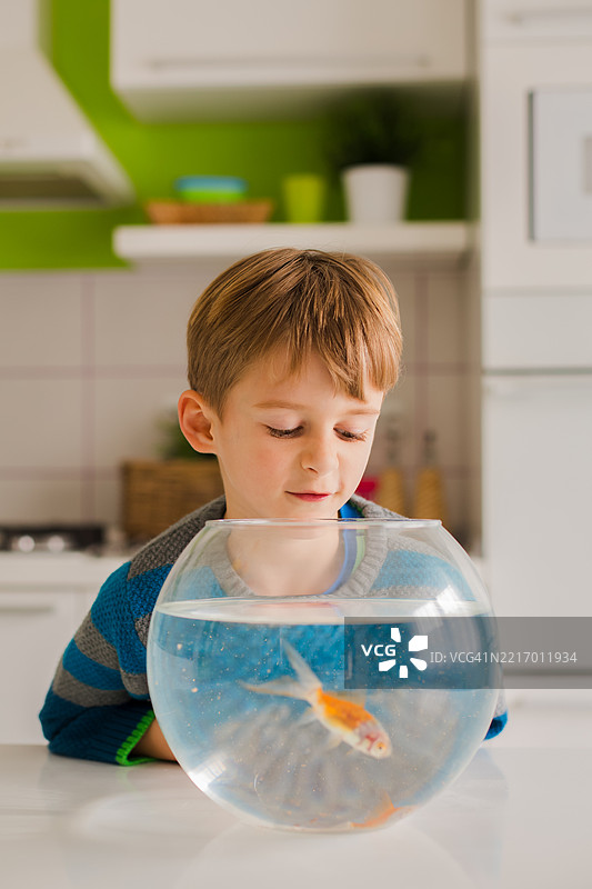 一个小男孩好奇地看着一个装有金鱼的玻璃碗图片素材
