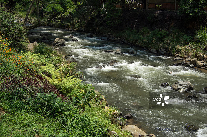 卡利河，哥伦比亚，瓦莱德尔考卡，卡利图片素材