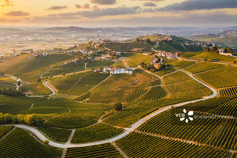 意大利皮埃蒙特的滚动葡萄园展示了田园诗般的乡村风光图片素材