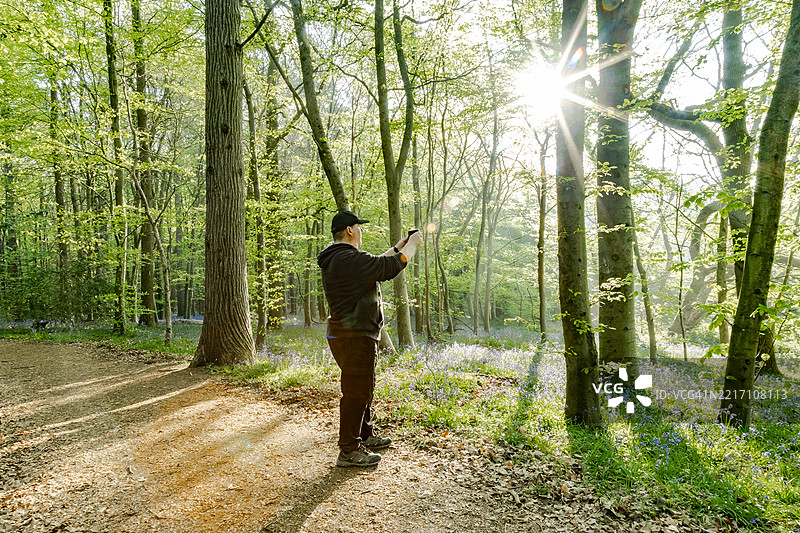 一个孤独的男人在英格兰萨里郡的蓝铃花森林中漫步图片素材