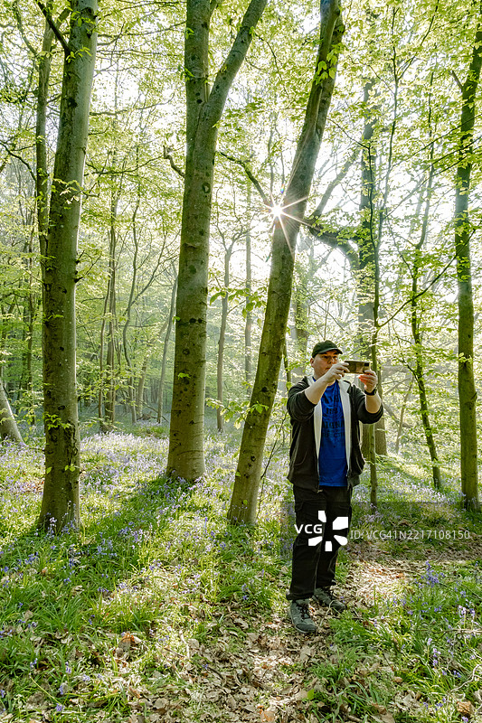 一个孤独的男人在英格兰萨里郡的蓝铃花森林中漫步图片素材