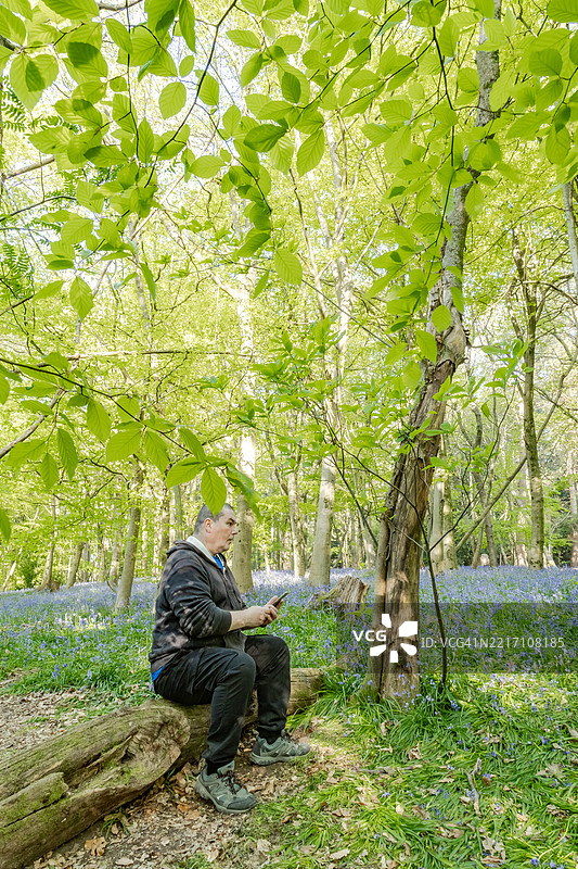 一个孤独的男人在英格兰萨里郡的蓝铃花森林中漫步图片素材