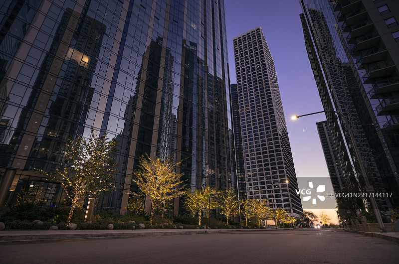 芝加哥住宅区日落时分的节日季节与灯光装饰的树木图片素材