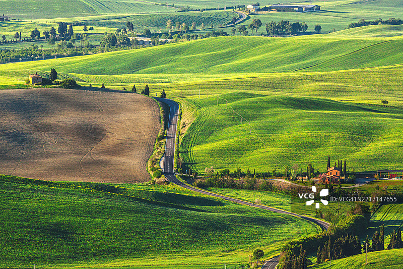 风景如画的蜿蜒道路穿过托斯卡纳郁郁葱葱的起伏山丘图片素材