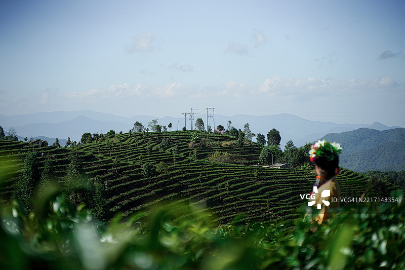 民族女孩与茶文化图片素材