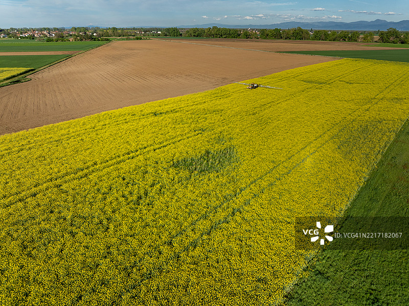 农业田野与天空的美丽景色图片素材