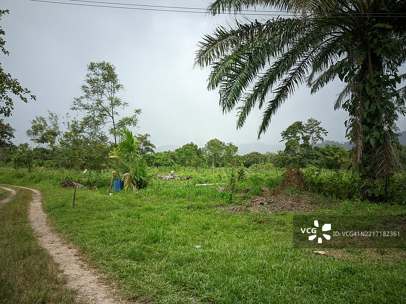 这张照片是在下雨时拍摄的。图片素材