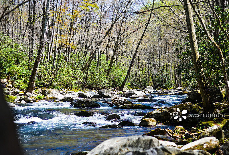 田纳西州加特林堡森林中河流穿过岩石的美丽景色图片素材