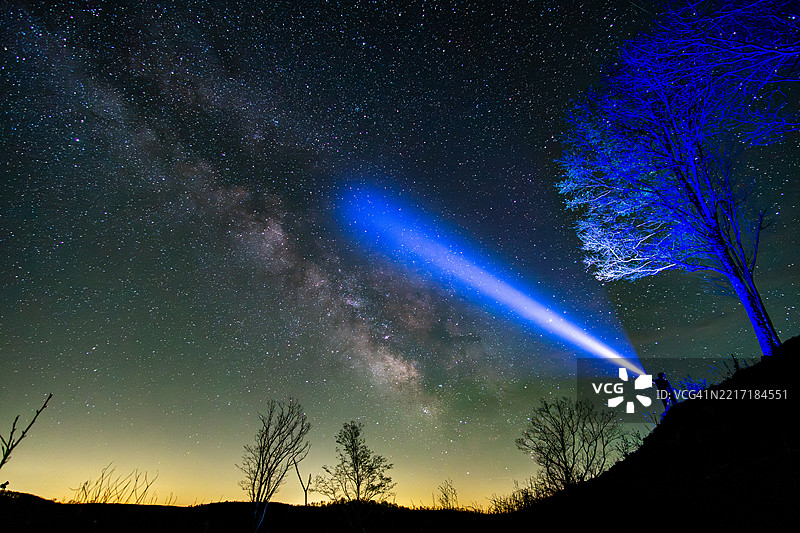 低角度视图下树木的轮廓与星空背景，赫克托，宾夕法尼亚州，美国图片素材