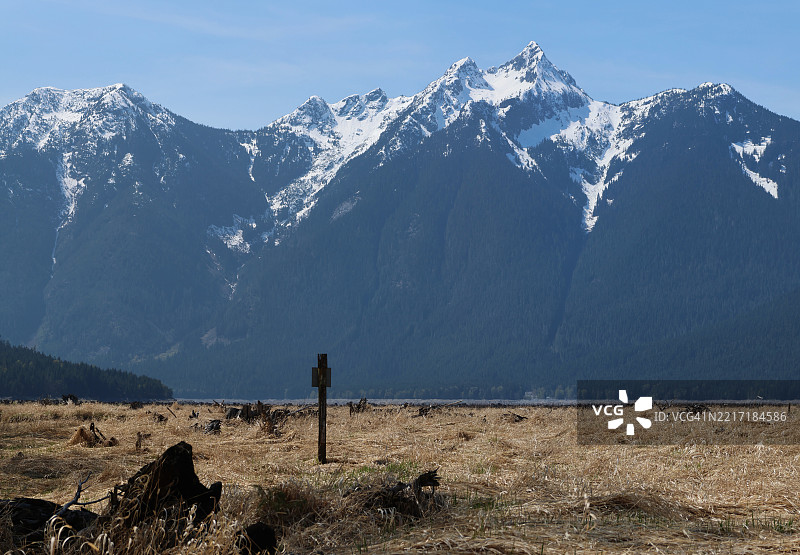 雪山脚下的干涸湖床草丛与天空相映成趣图片素材