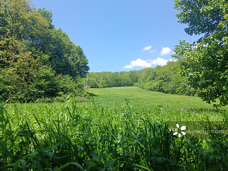 田野与天空的美丽景色图片素材