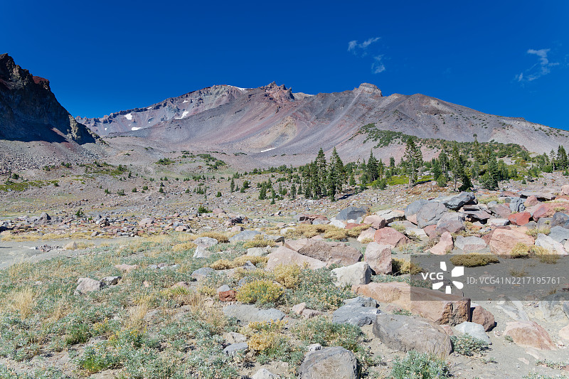 沙斯塔-特里尼提国家森林的高端户外体验图片素材