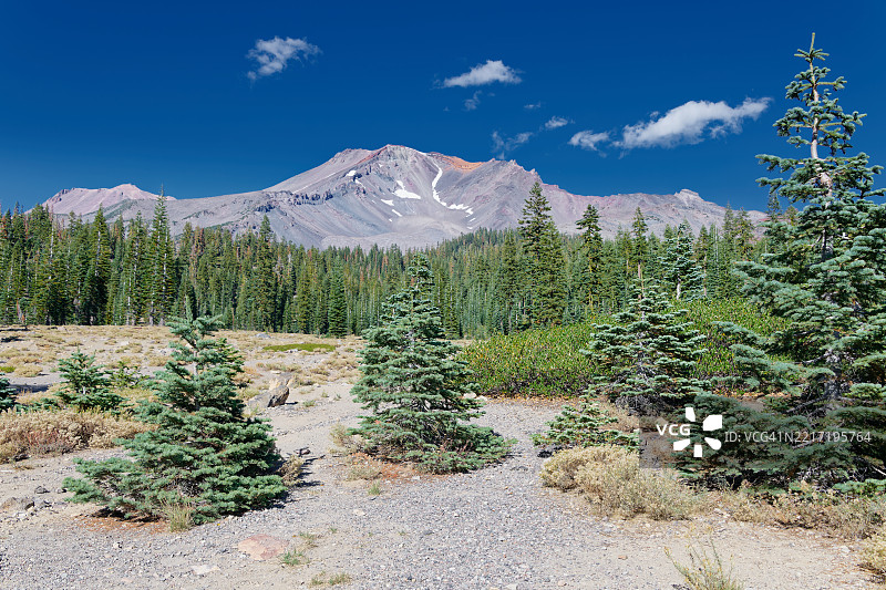 沙斯塔-特里尼提国家森林中的山间天堂图片素材