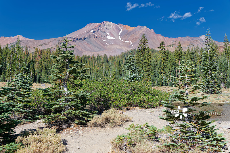 在沙斯塔-特里尼提国家森林中欣赏美丽的地方图片素材