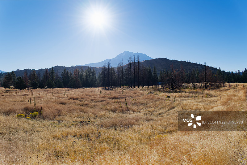 我问自己是否应该祈祷，结果发现我已经在进行一场对话。图片素材