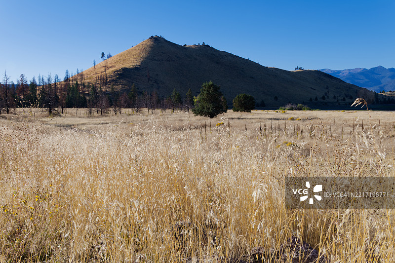 早晨向神圣自然问好图片素材