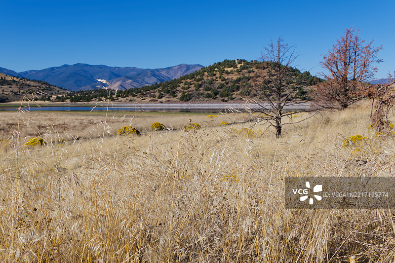 湖沙斯蒂纳的一天的自然开场白图片素材