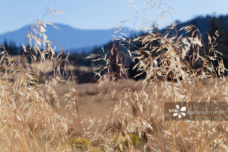 在晨光中图片素材