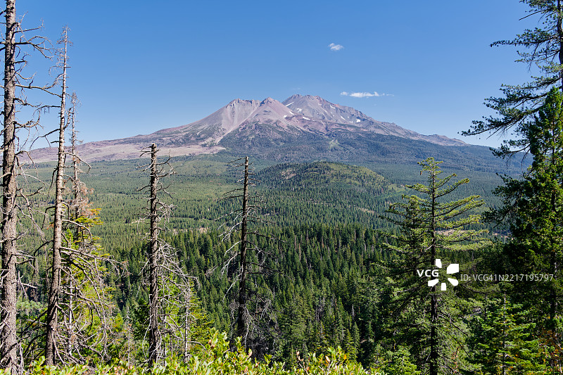 在沙斯塔-特里尼提国家森林寻找我的下一个冒险图片素材