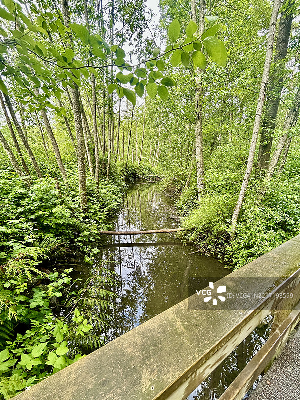 不列颠哥伦比亚省库基特拉姆的科莫湖图片素材