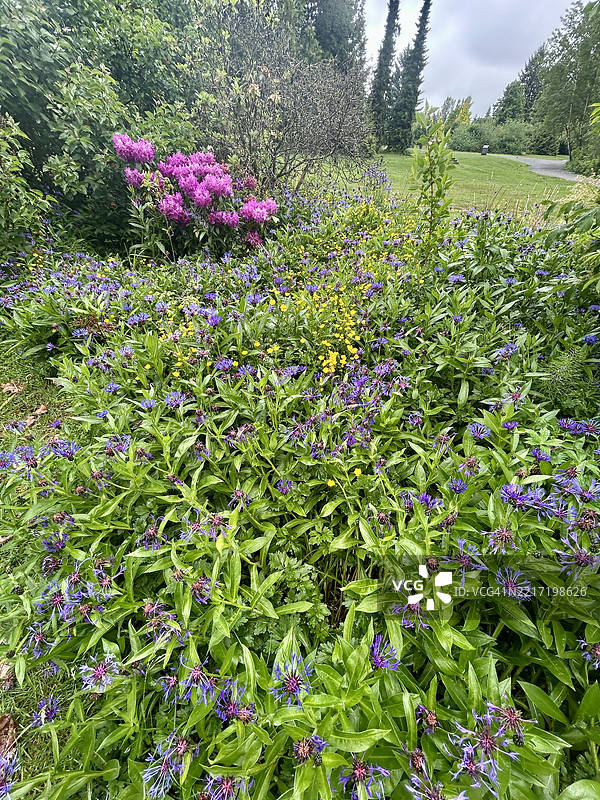 不列颠哥伦比亚省库基特拉姆的科莫湖图片素材