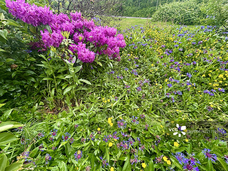 不列颠哥伦比亚省库基特拉姆的科莫湖图片素材