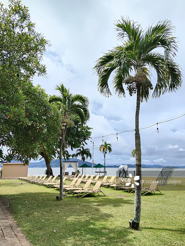 马来西亚沙巴州哥打基纳巴卢天空下的田野树木图片素材