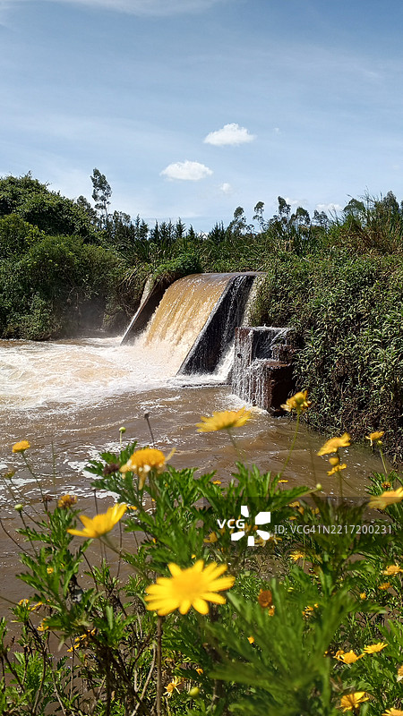 肯尼亚乌辛吉舒县的开花植物与天空的美丽景色图片素材