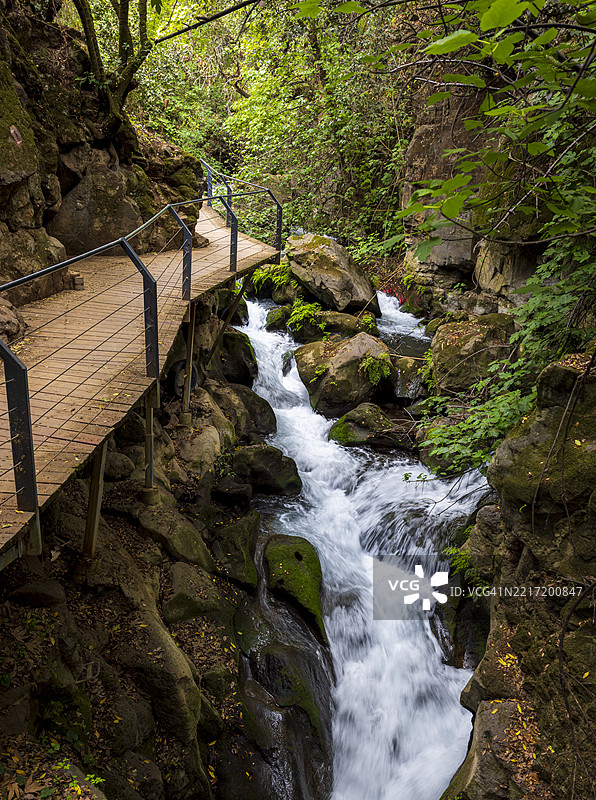 森林中的瀑布美景图片素材