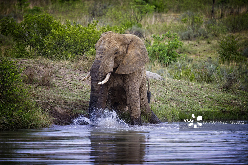 溅水声，我正在洗澡系列图片素材