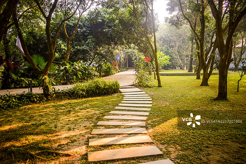 被郁郁葱葱的绿植环绕的风景花园小径图片素材