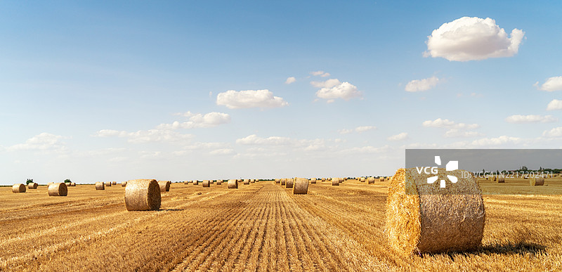 乌克兰天空下的田野美景图片素材